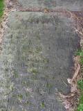 image of grave number 141611
